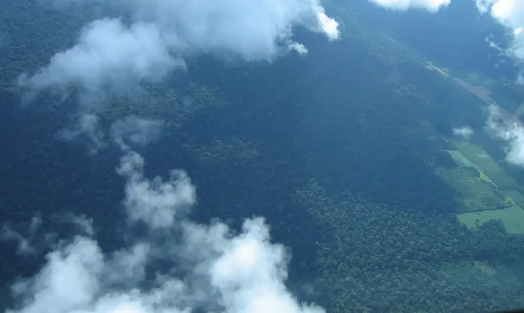 Foto aérea da Amazônia