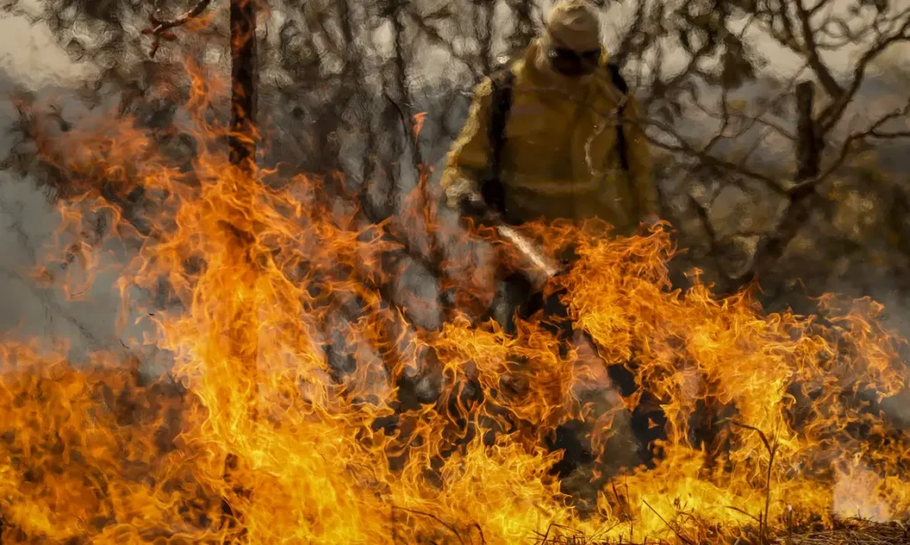 Incêndio na Amazônia