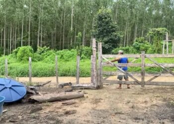 Fazenda Jurema, cuja reintegração de posse foi suspensa pelo Ministro Facchin (STF)
