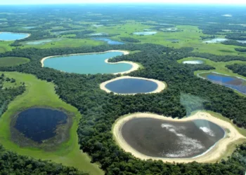 MPF encerra seminário sobre Pantanal no Dia Mundial do Meio Ambiente e prepara propostas para COP 30