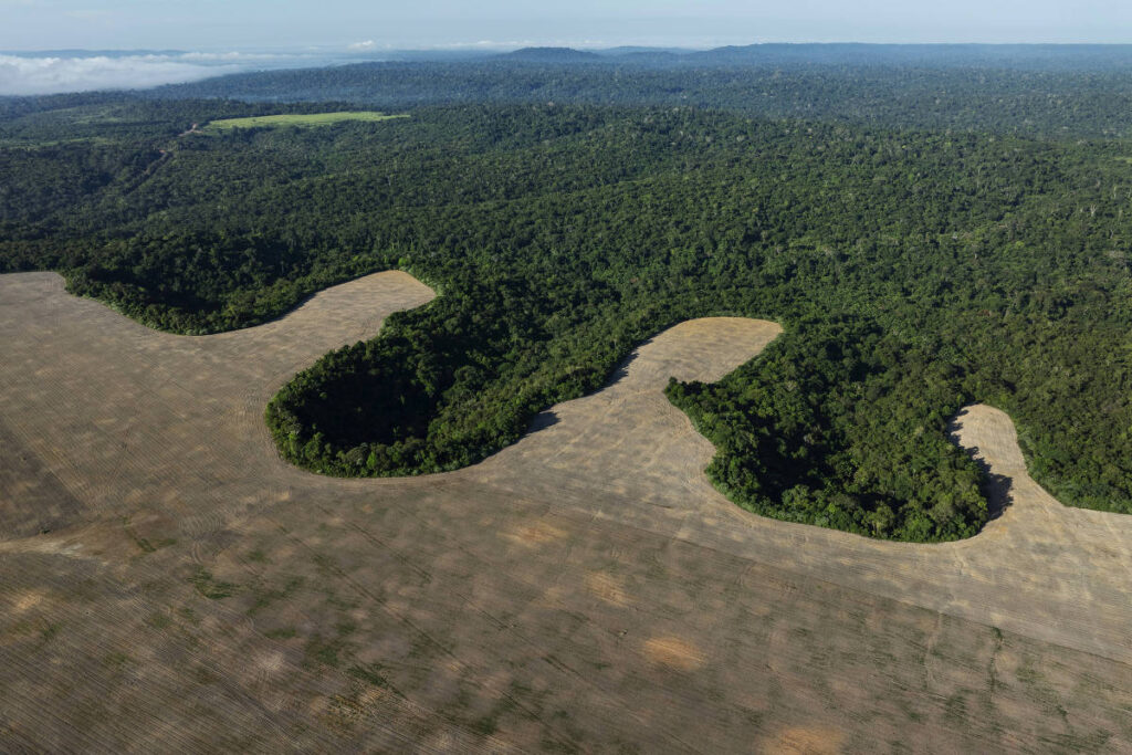 Entidades alertam contra PL que muda licenciamento ambiental