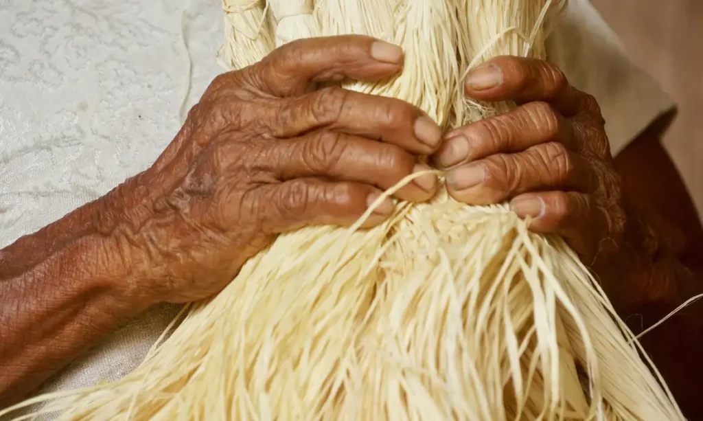 TRF3 confirma aposentadoria rural a indígena que trabalha em propriedade agrícola