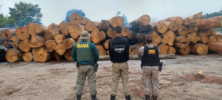 Apreensão de madeira.