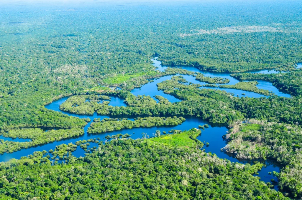 paisagem amazônica retrata rios e matas brasilerias