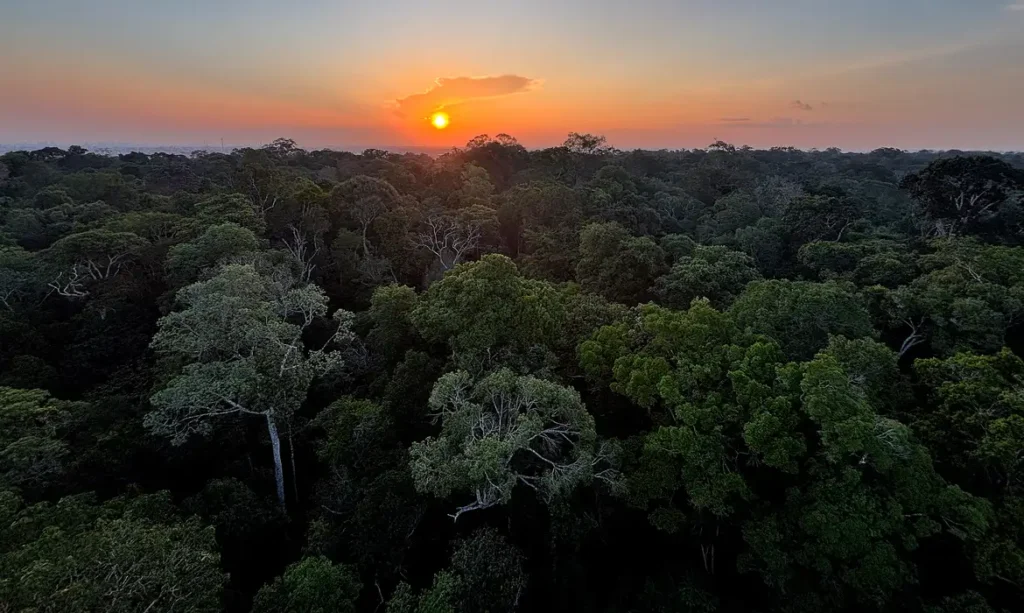 Judiciário julgou mais processos ambientais em 2025