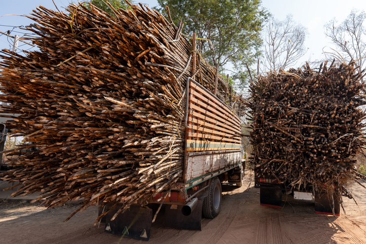 Caminhão transportando carga de cana-de-açúcar para usina