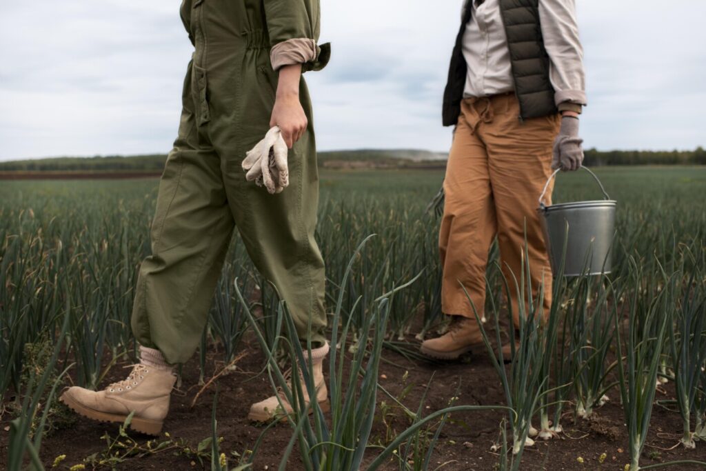 Trabalhadores no campo